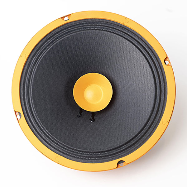 8" speaker 